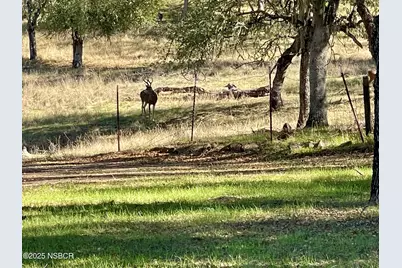 2328 Lakeview Drive, Bradley, CA 93426 - Photo 19