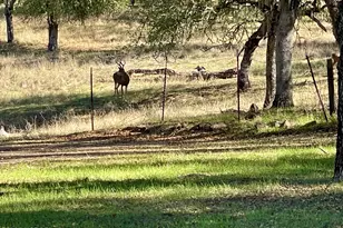 2328 Lakeview Dr, Bradley, CA 93426 - Photo 19