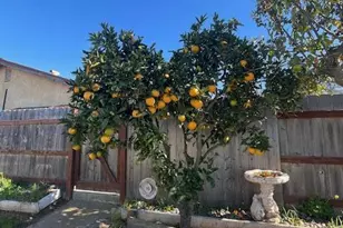 218 Highland Dr, Santa Maria, CA 93455 - Photo 17