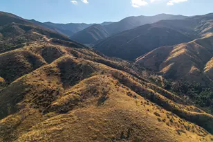 2170 Aliso Park Rd, New Cuyama, CA 93254 - Photo 49