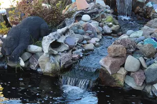 607 E Monroe St, Santa Maria, CA 93454 - Photo 33