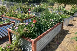 182-172 E Chestnut St, Nipomo, CA 93444 - Photo 43