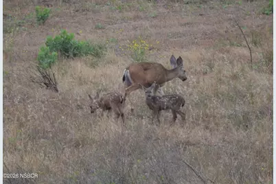 1294 Hollysprings Lane, Santa Maria, CA 93455 - Photo 45