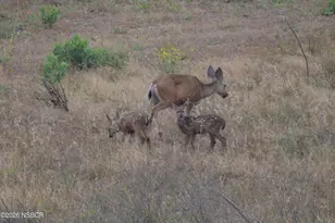 1294 Hollysprings Ln, Santa Maria, CA 93455 - Photo 45