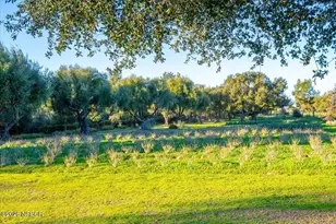 2480 Roblar Ave, Los Olivos, CA 93441 - Photo 67