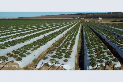 2161 Division Street, Nipomo, CA 93444 - Photo 11