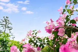 3425 Quail Meadows Dr, Santa Maria, CA 93455 - Photo 27