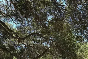 5400 1/2 Stillwell Rd, Santa Maria, CA 93455 - Photo 3