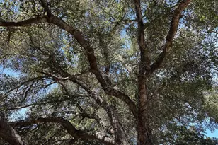 5400 1/2 Stillwell Rd, Santa Maria, CA 93455 - Photo 7