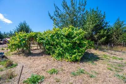 1144 Arboles Way, Arroyo Grande, CA 93420 - Photo 33