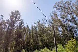 870 Lasalle Canyon Rd, Lompoc, CA 93436 - Photo 31