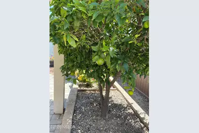 3399 Bent Tree Drive #04, Santa Maria, CA 93455 - Photo 43