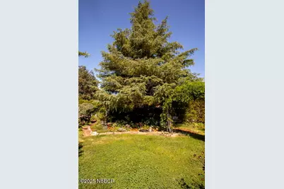 969 Vintage Way, Los Alamos, CA 93440 - Photo 25