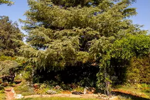 969 Vintage Way, Los Alamos, CA 93440 - Photo 25