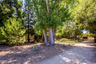 969 Vintage Way, Los Alamos, CA 93440 - Photo 53
