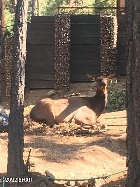 6465 Crumb Rd, Kingman AZ 86401-6568 exterior