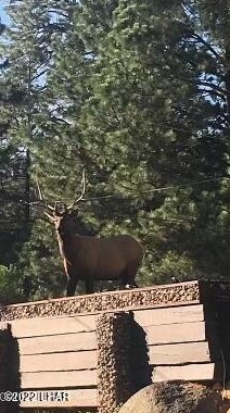 6465 Crumb Rd, Kingman AZ 86401-6568 exterior