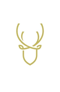 Collins Collective image
